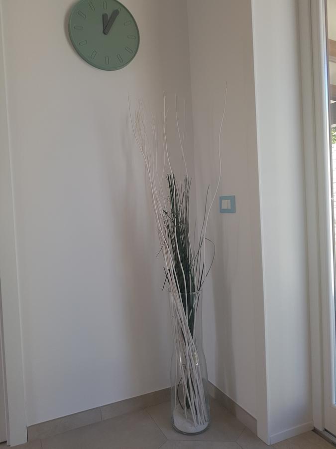 B&B Aloe Comfort Rooms San Vito Lo Capo Exterior photo